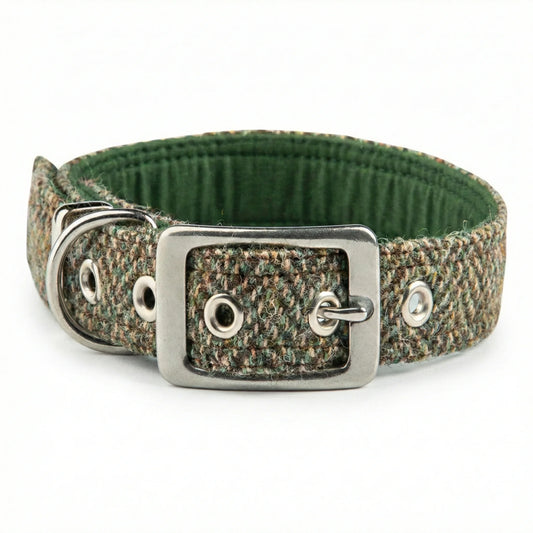 Green fabric dog collar with metal buckle on a white background