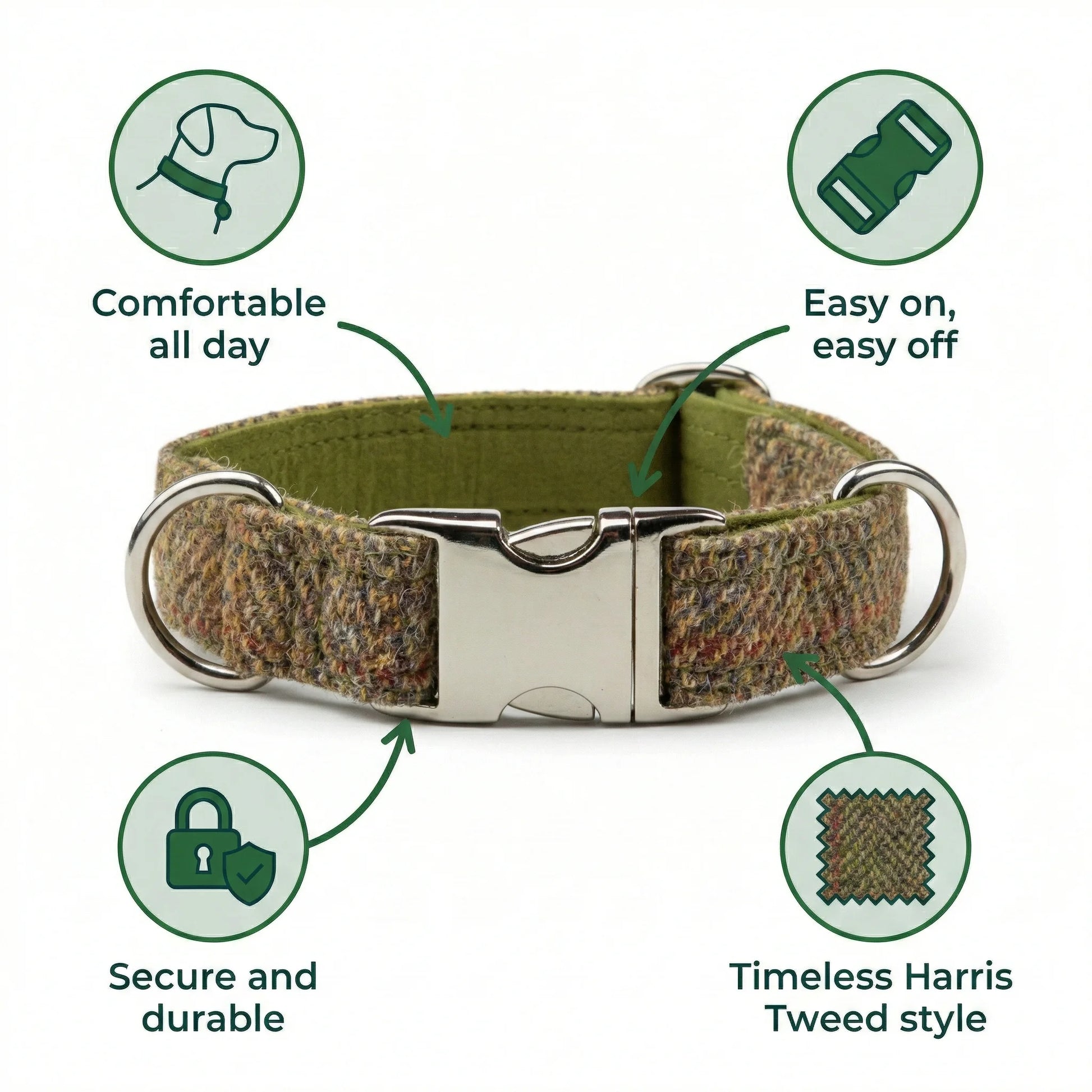 Green dog collar with features highlighted on a white background