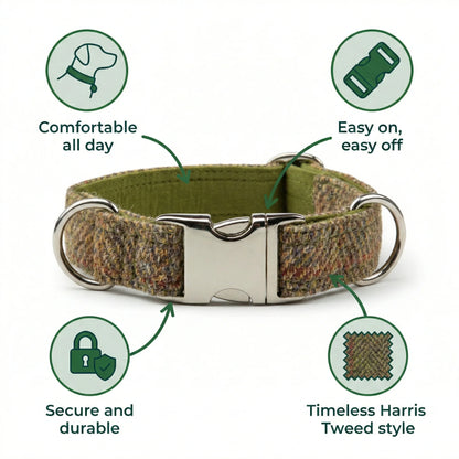 Green dog collar with features highlighted on a white background