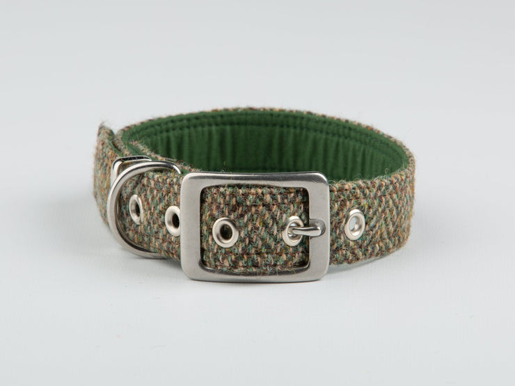 Totally Traditional Herringbone-Buckle Fastening Luxury Harris Tweed Dog Collar/collared creatures