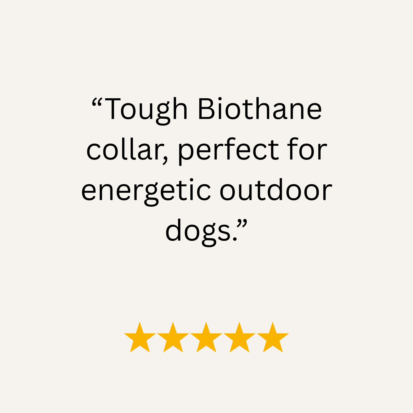 Magenta & Teal Multicolour Waterproof Biothane Buckle Dog Collar - Collared Creatures LTD