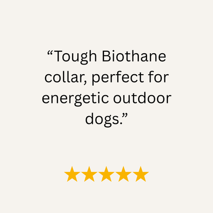 Magenta & Teal Multicolour Waterproof Biothane Buckle Dog Collar - Collared Creatures LTD