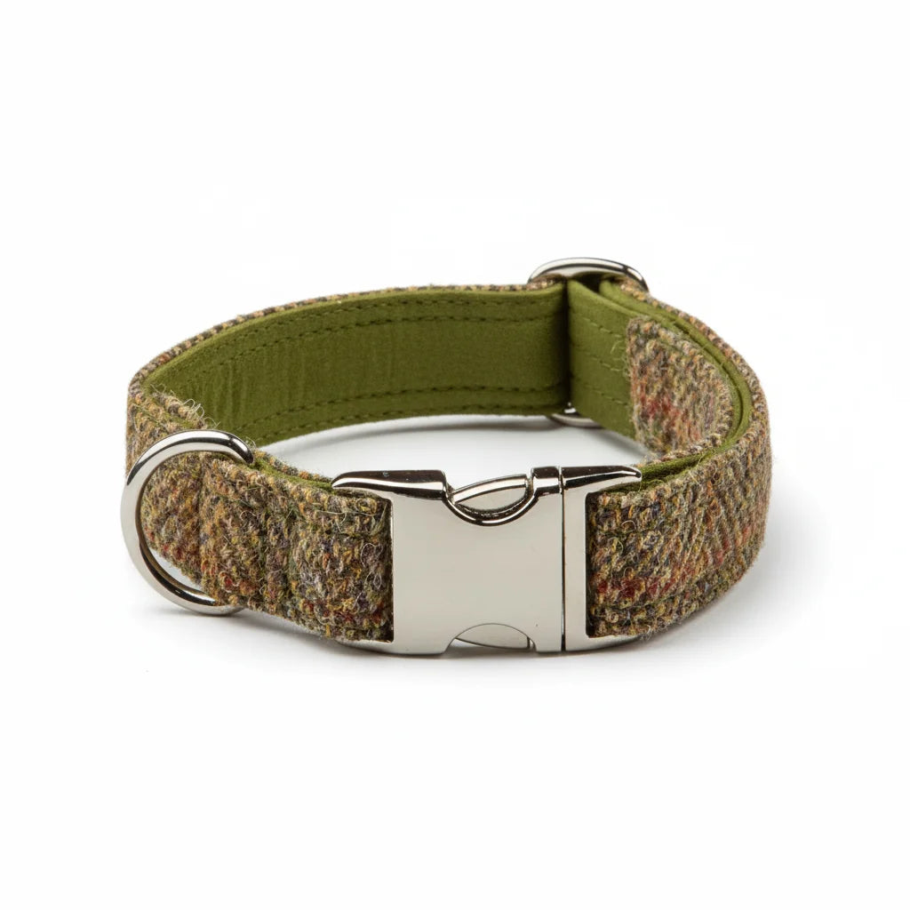 Traditional herringbone Harris Tweed dog collar with silver clasp buckle on a white background