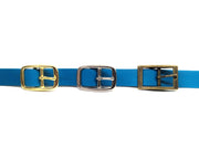 Turquoise Waterproof Biothane Buckle Dog Collar
