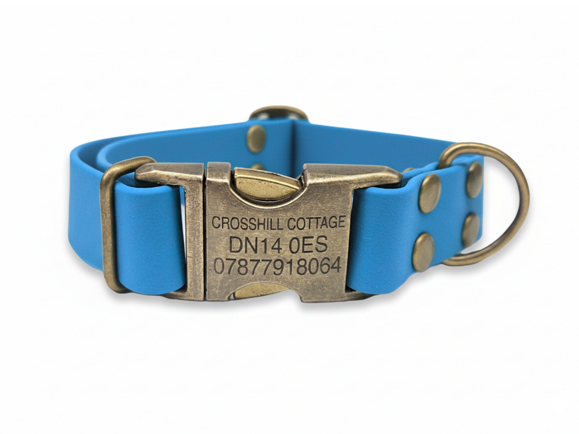 Blue dog collar with a brass buckle on a white background
