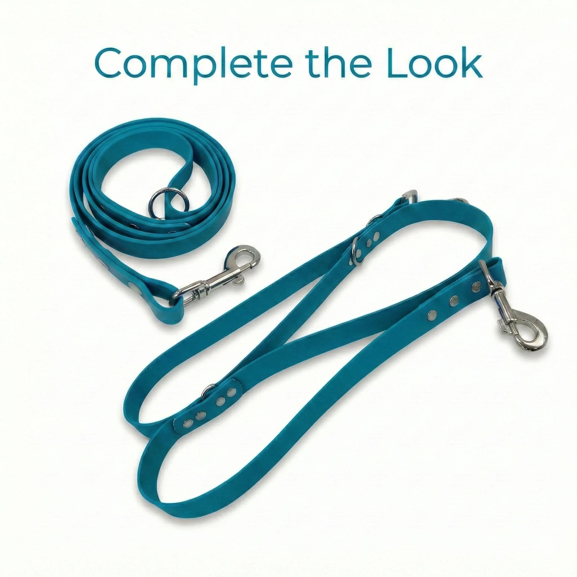Teal dog leash with metal clips on a white background, text 'Complete the Look' above.