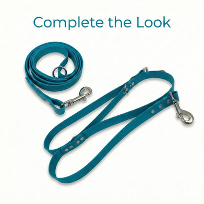 Teal dog leash with metal clips on a white background, text 'Complete the Look' above.