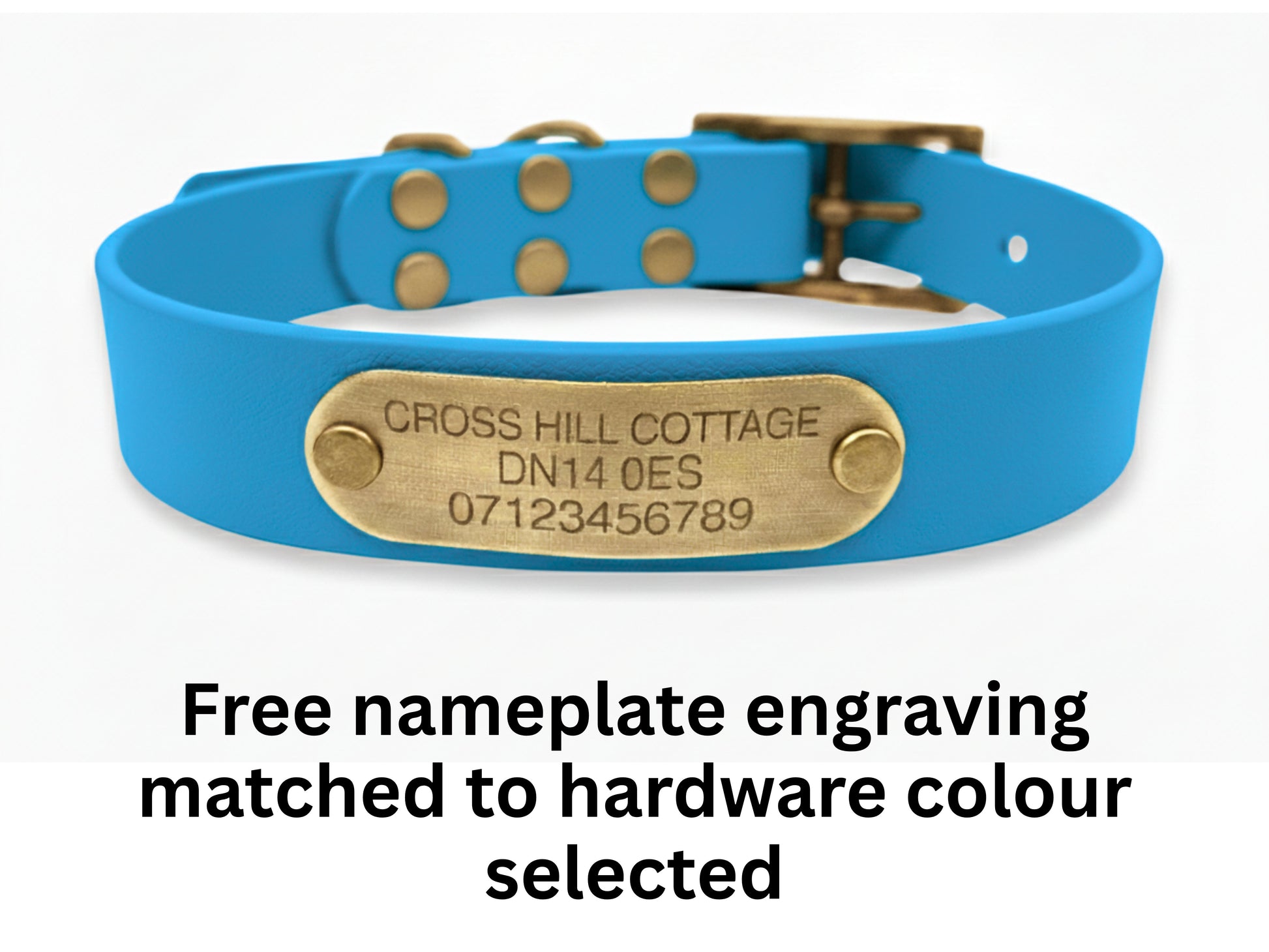 Blue dog collar with a brass nameplate on a white background