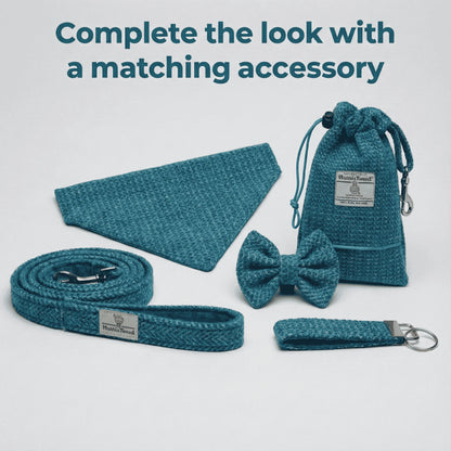 Teal pet accessory set including a leash, collar, bow tie, and pouch on a light gray background.