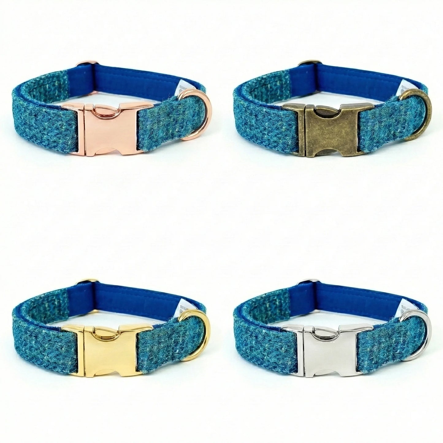 Four blue dog collars with different metal buckles on a white background