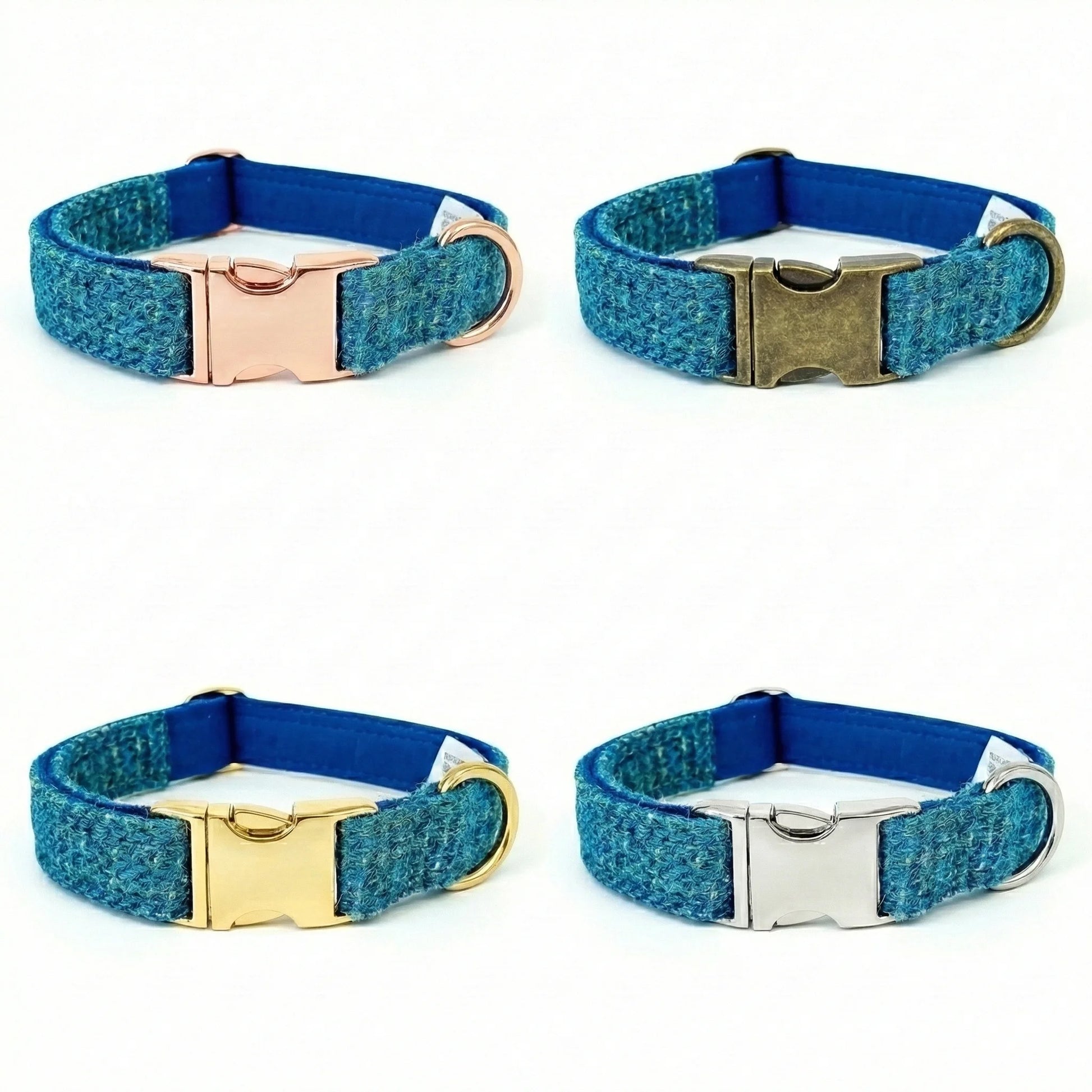Four blue dog collars with different metal buckles on a white background