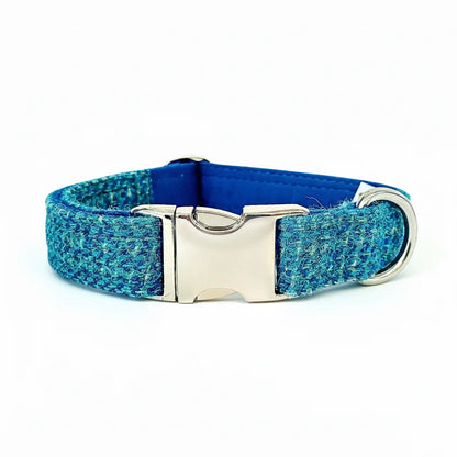 Turquoise fleck Harris Tweed dog collar with silver buckle on a white background