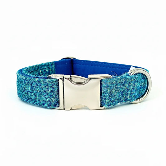 Turquoise fleck Harris Tweed dog collar with silver buckle on a white background