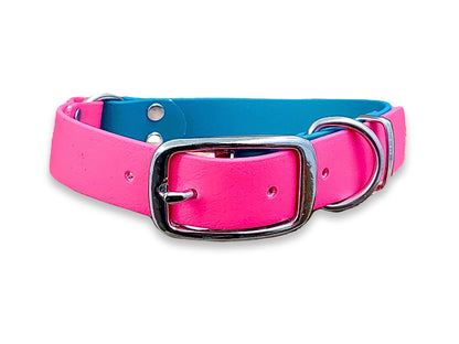 Turquoise & Fuchsia Multicolour waterproof dog collar made from Biothane – strong, stylish and odour-resistant – by Collared Creatures