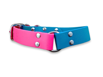 Turquoise & Fuchsia Multicolour waterproof buckle dog collar made from Biothane – strong, stylish and non-stretch – by Collared Creatures
