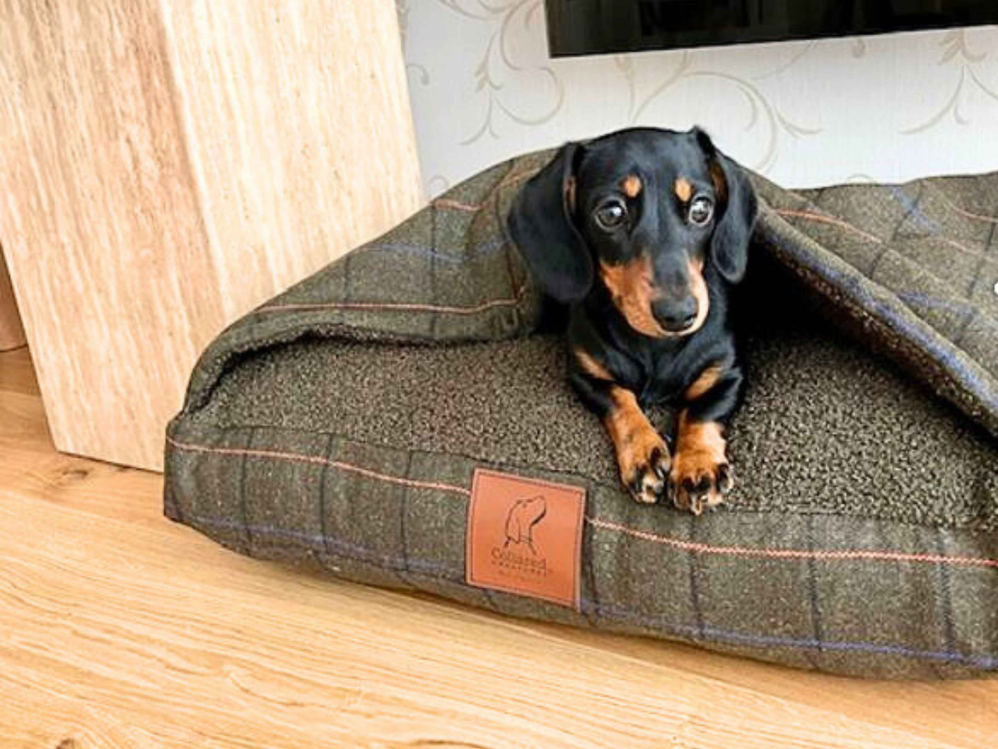 Black and tan dachshund sitting in a tweed snuggle dog bed with fleece lining