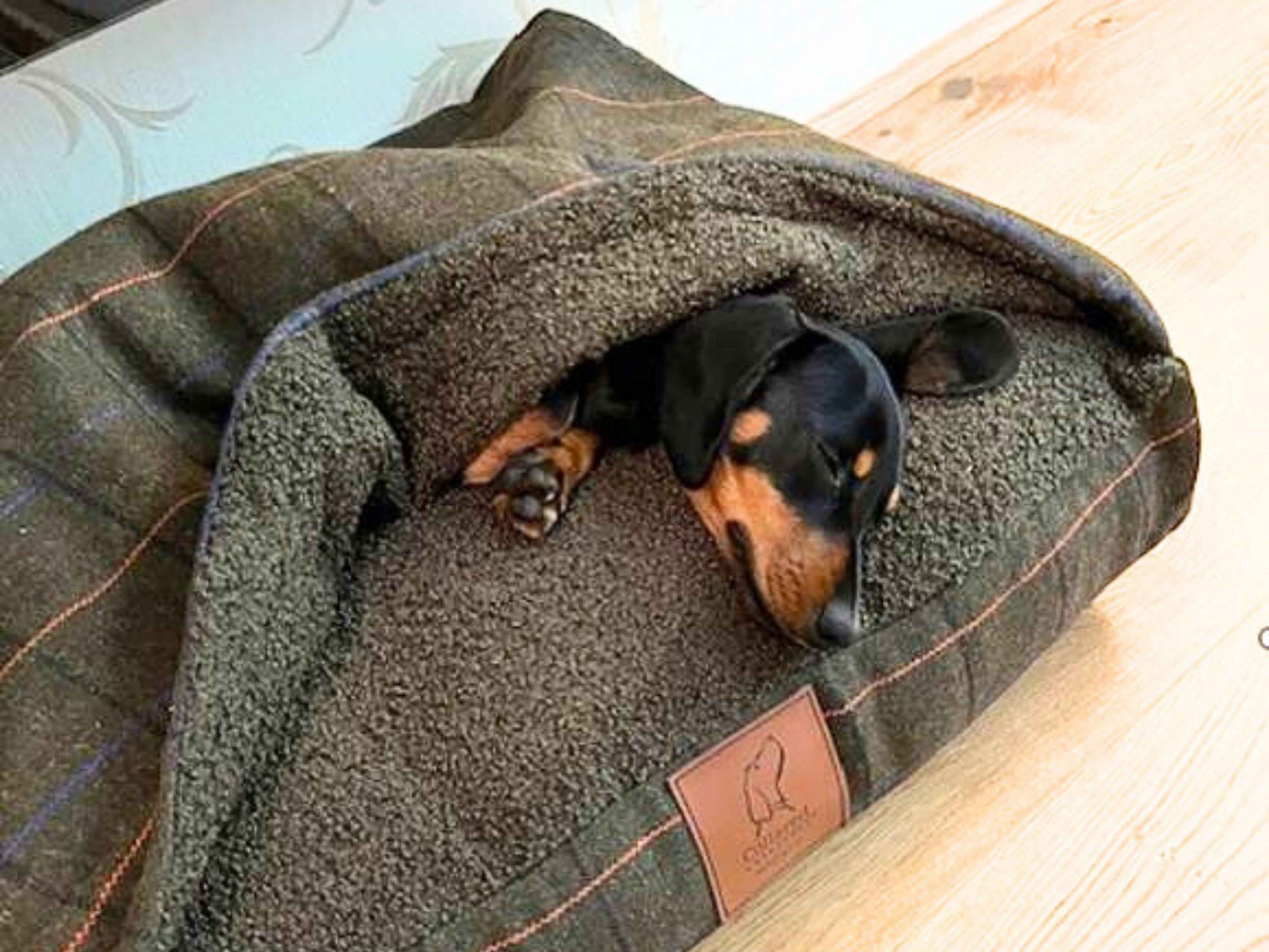 Black and tan dachshund sleeping inside a tweed snuggle dog bed with soft fleece lining