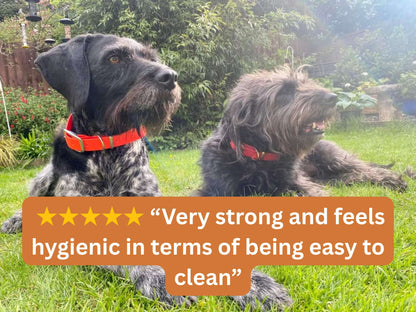Two dogs sitting on grass with a text overlay about product strength and hygiene.
