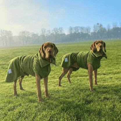 Green Superior Perfectly Practical Dog Drying Coat - Collared Creatures LTD