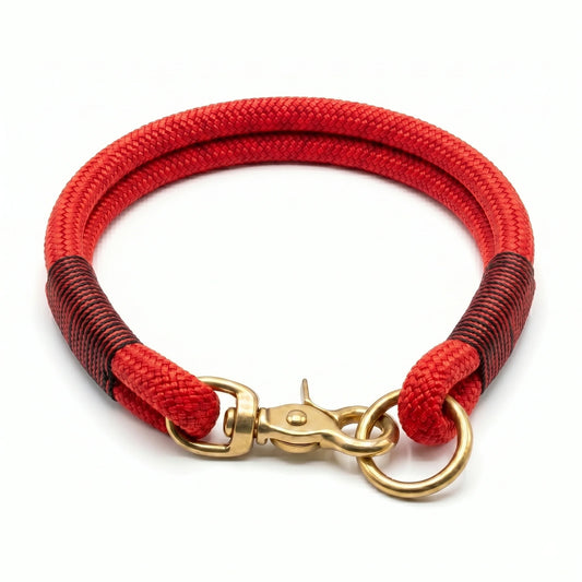 Red rope dog collar with gold clasp on a white background