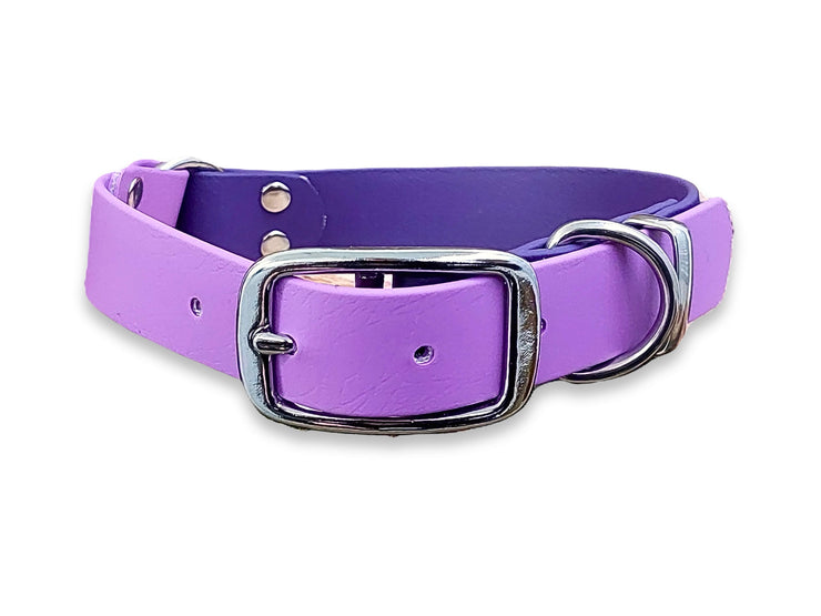 Violet & Amethyst Multicolour waterproof dog collar made from Biothane – strong, stylish and odour-resistant – by Collared Creatures