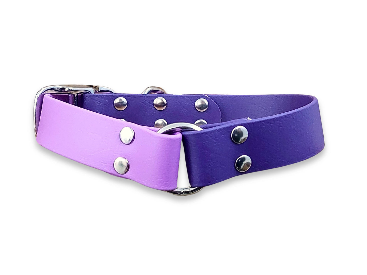 Violet & Amethyst Multicolour waterproof buckle dog collar made from Biothane – strong, stylish and non-stretch – by Collared Creatures