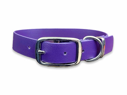 Waterproof and durable Violet Biothane dog collar with sturdy buckle fastening – by Collared Creatures