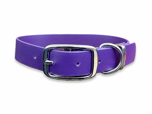 Waterproof and durable Violet Biothane dog collar with sturdy buckle fastening – by Collared Creatures