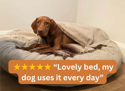Vizsla resting in beige cocoon dog bed with 5-star customer review overlay saying 'Lovely bed, my dog uses it every day'