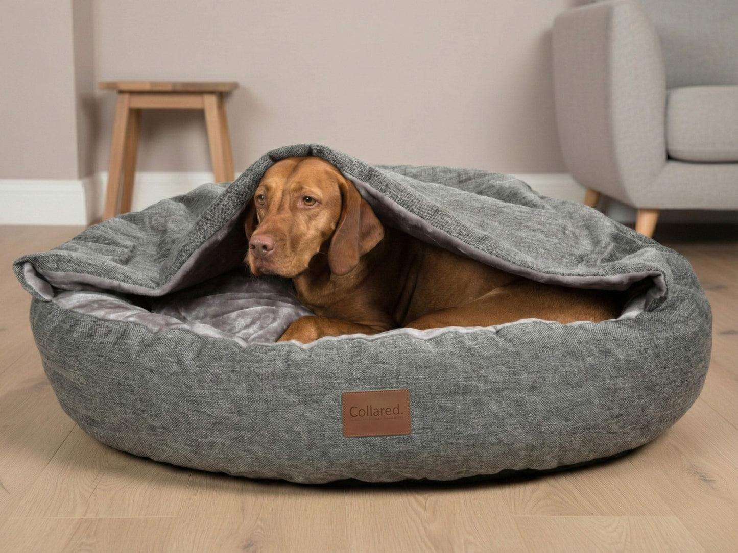 Dog lying in a gray pet bed with a collared creatures brand label in a home setting