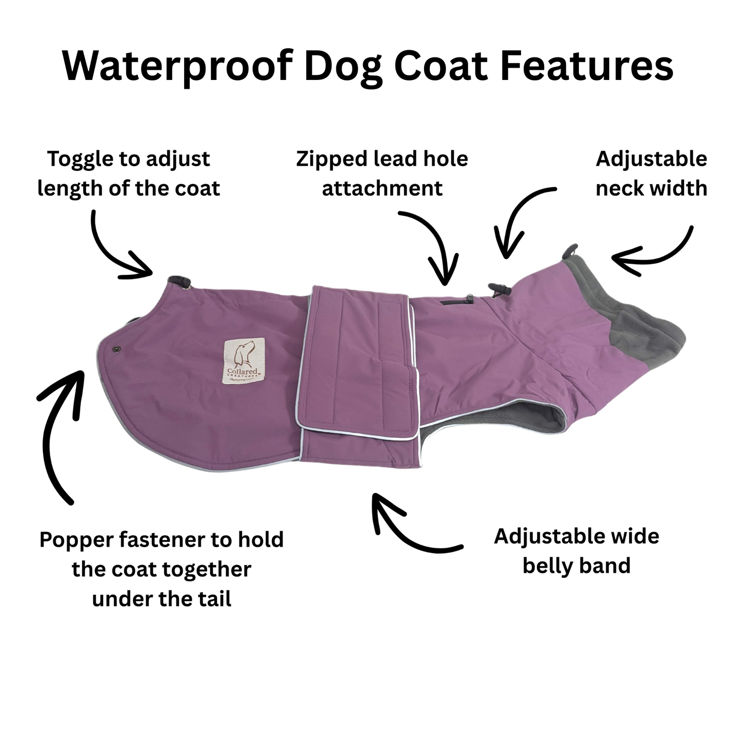 Teal Superior Waterproof Dog Coat