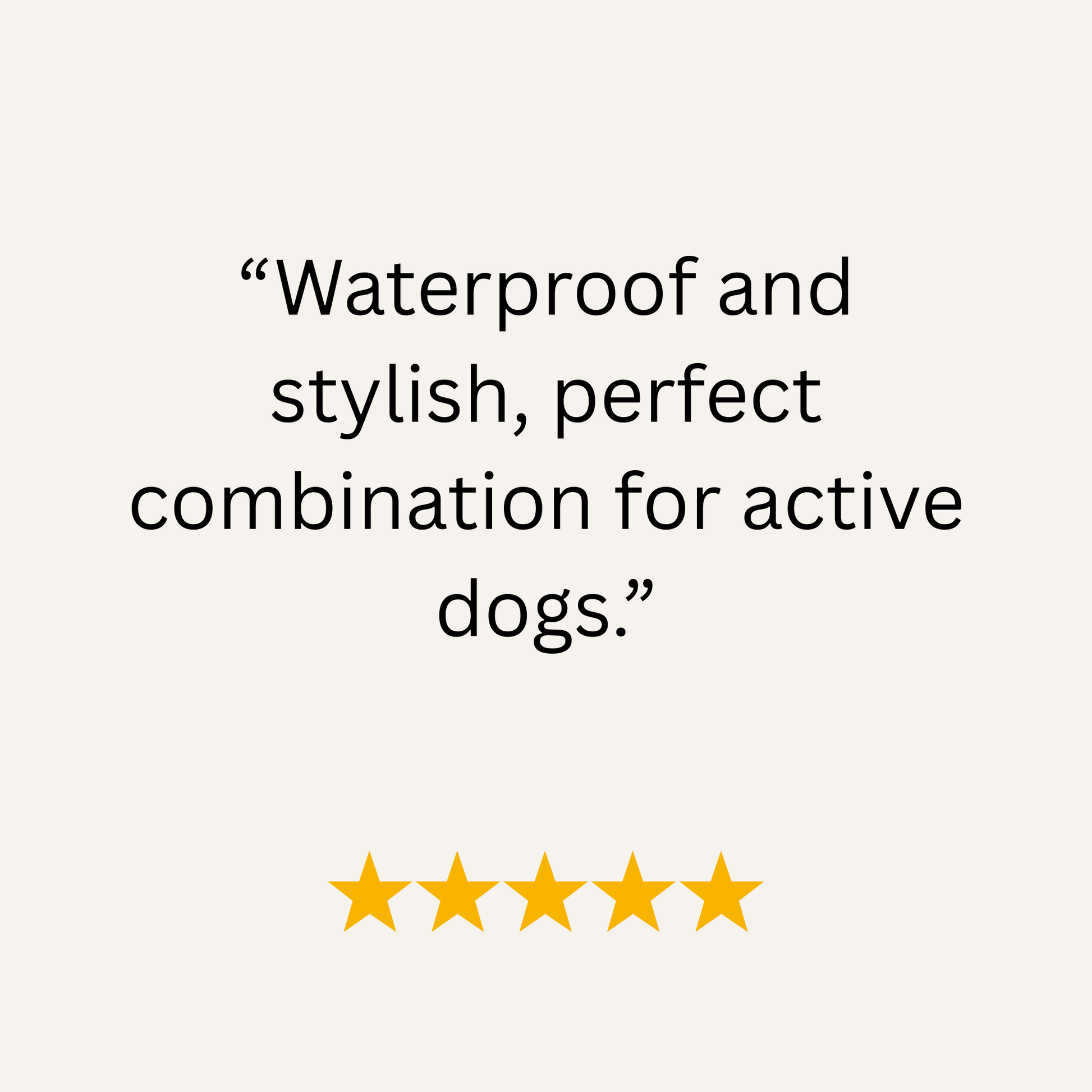 Mauve & Guacamole Green Multicolour Waterproof Biothane Buckle Dog Collar - Collared Creatures LTD