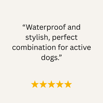 Mauve & Guacamole Green Multicolour Waterproof Biothane Buckle Dog Collar - Collared Creatures LTD