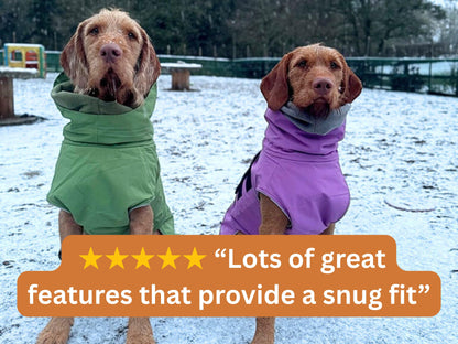 Two dogs wearing green and purple waterproof dog coats standing on snow, showcasing snug fit design.