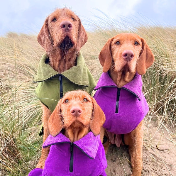Collared Creatures Waterproof Dog Coats UK | Rainproof, Warm & Designed for Real Weather ...