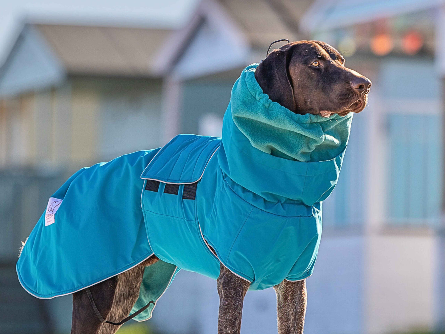 Teal Waterproof Dog Coat Fleece-Lined, Reflective Adjustable