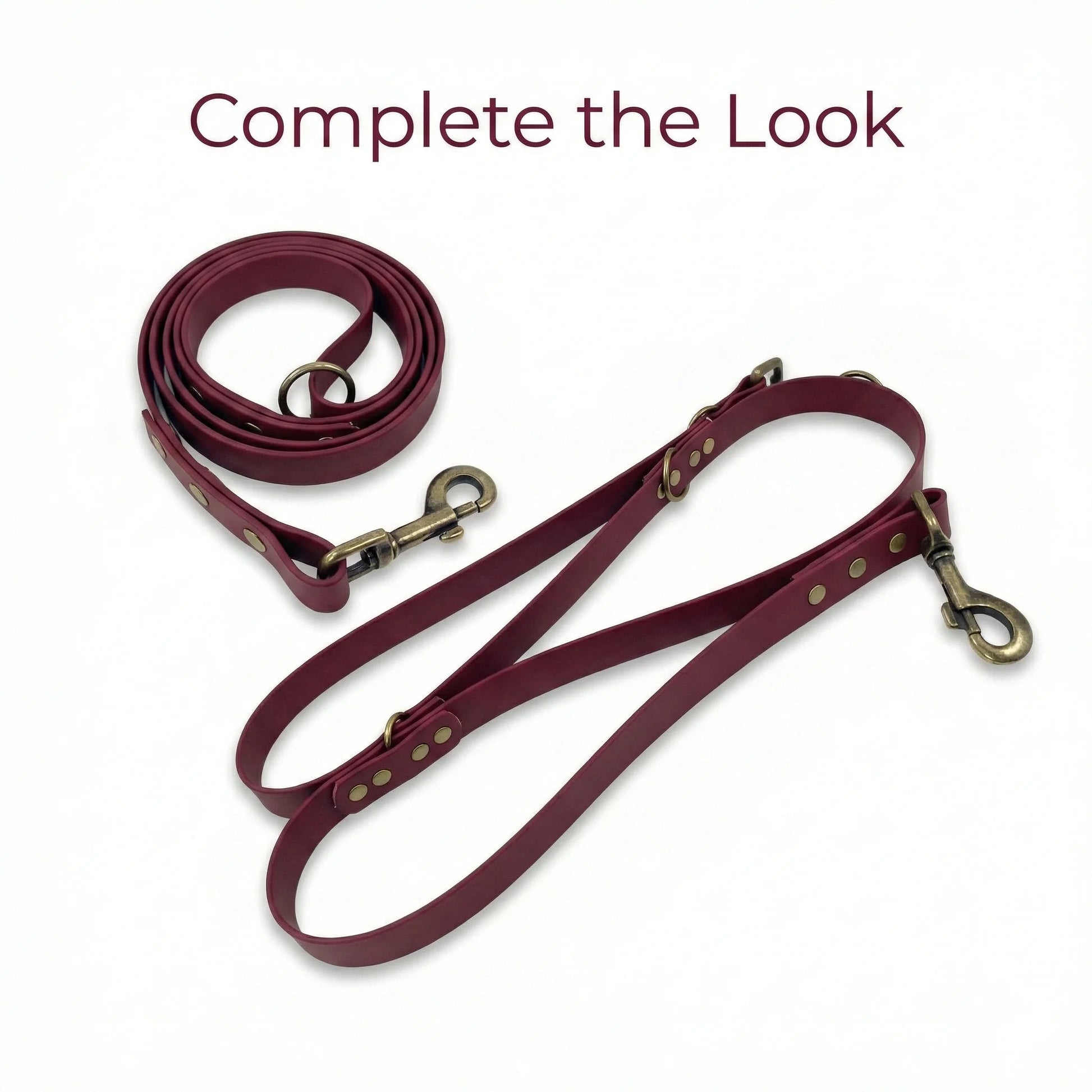 Wine Waterproof Biothane Buckle Dog Collar - Collared Creatures LTD