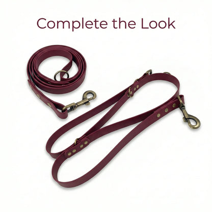 Wine Waterproof Biothane Buckle Dog Collar - Collared Creatures LTD