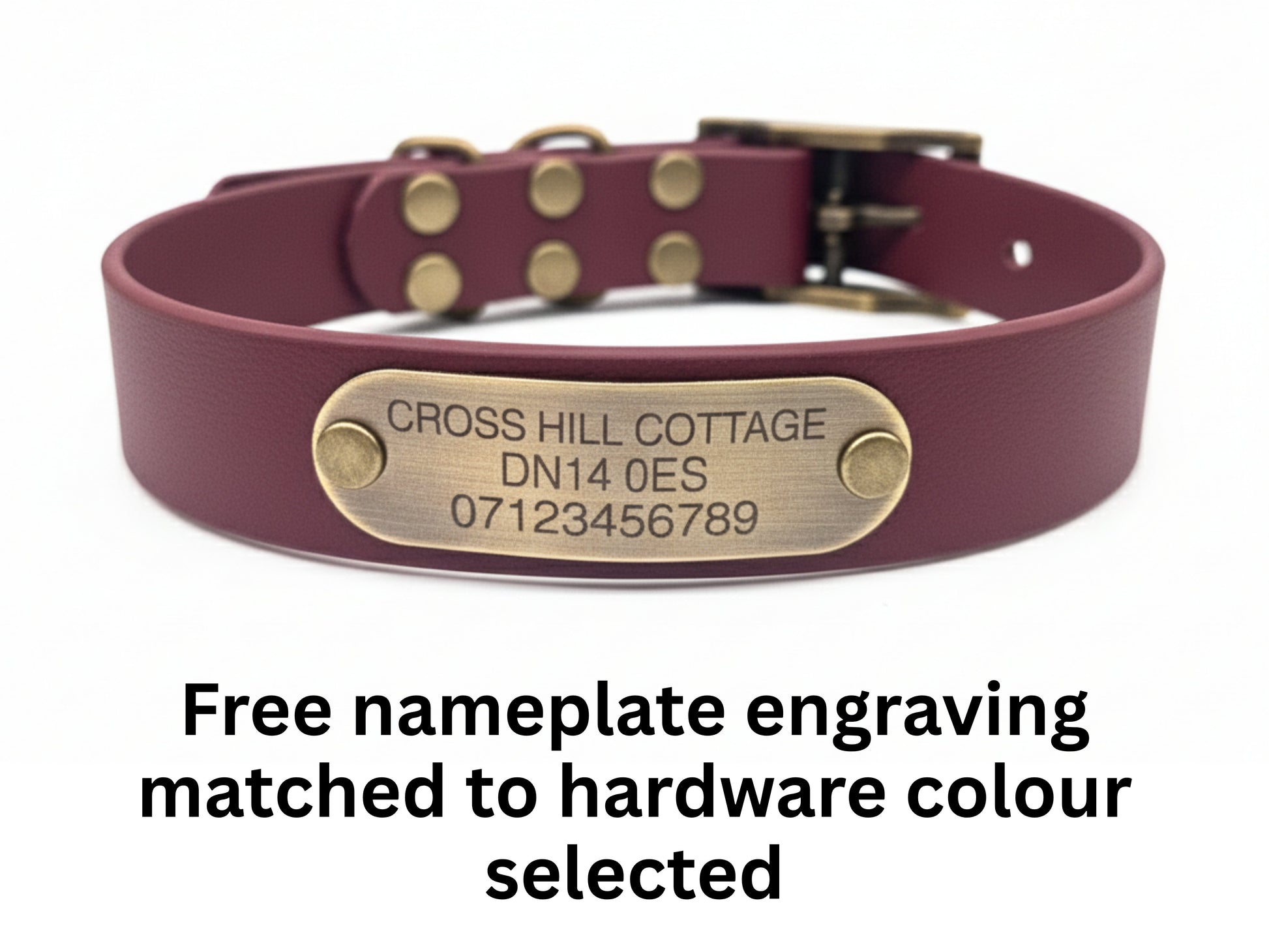 wine red biothane dog collar with brass nameplate on a white background