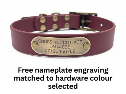 wine red biothane dog collar with brass nameplate on a white background