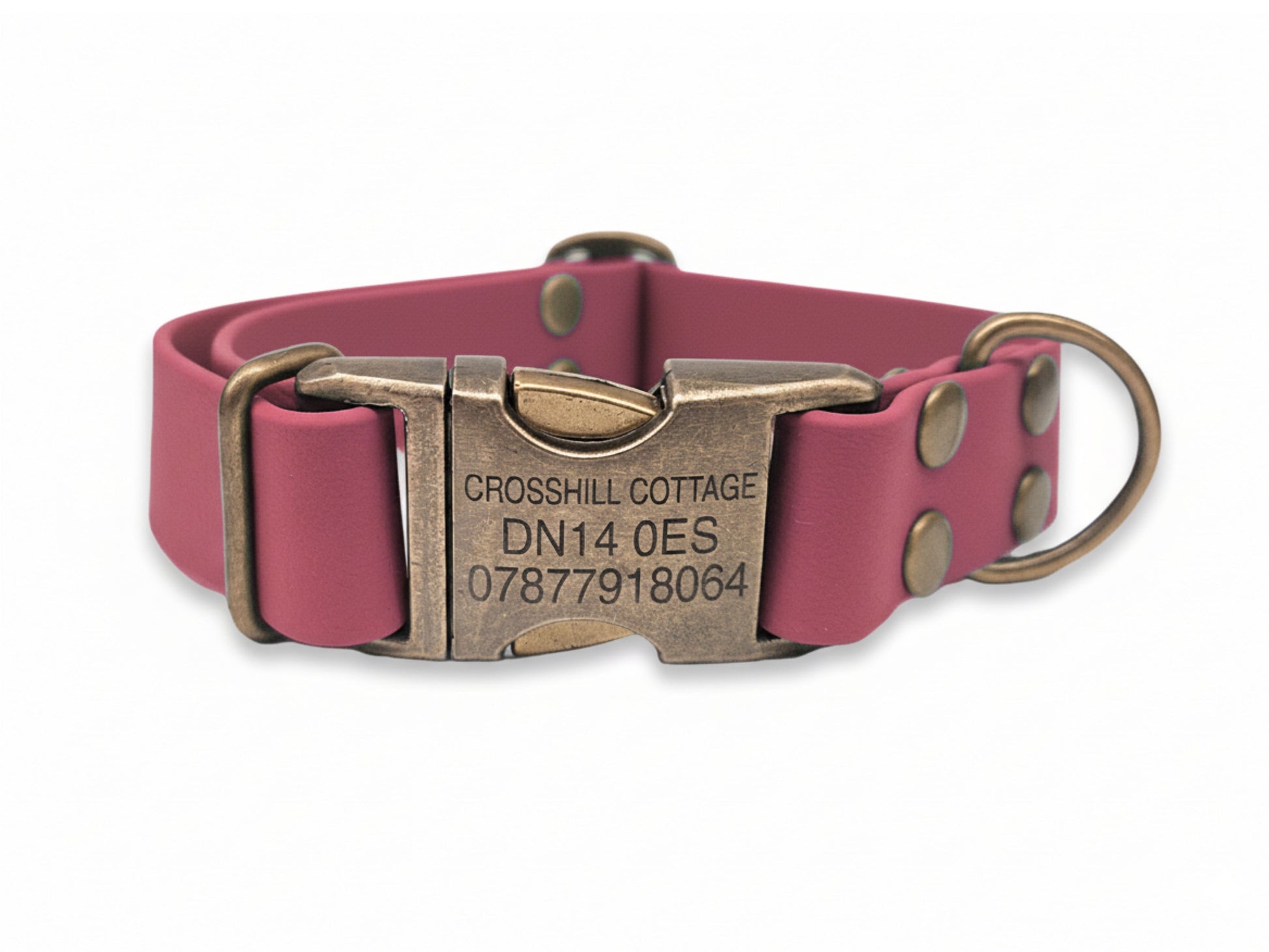 wine red dog collar with a bronze engraved tag on a white background