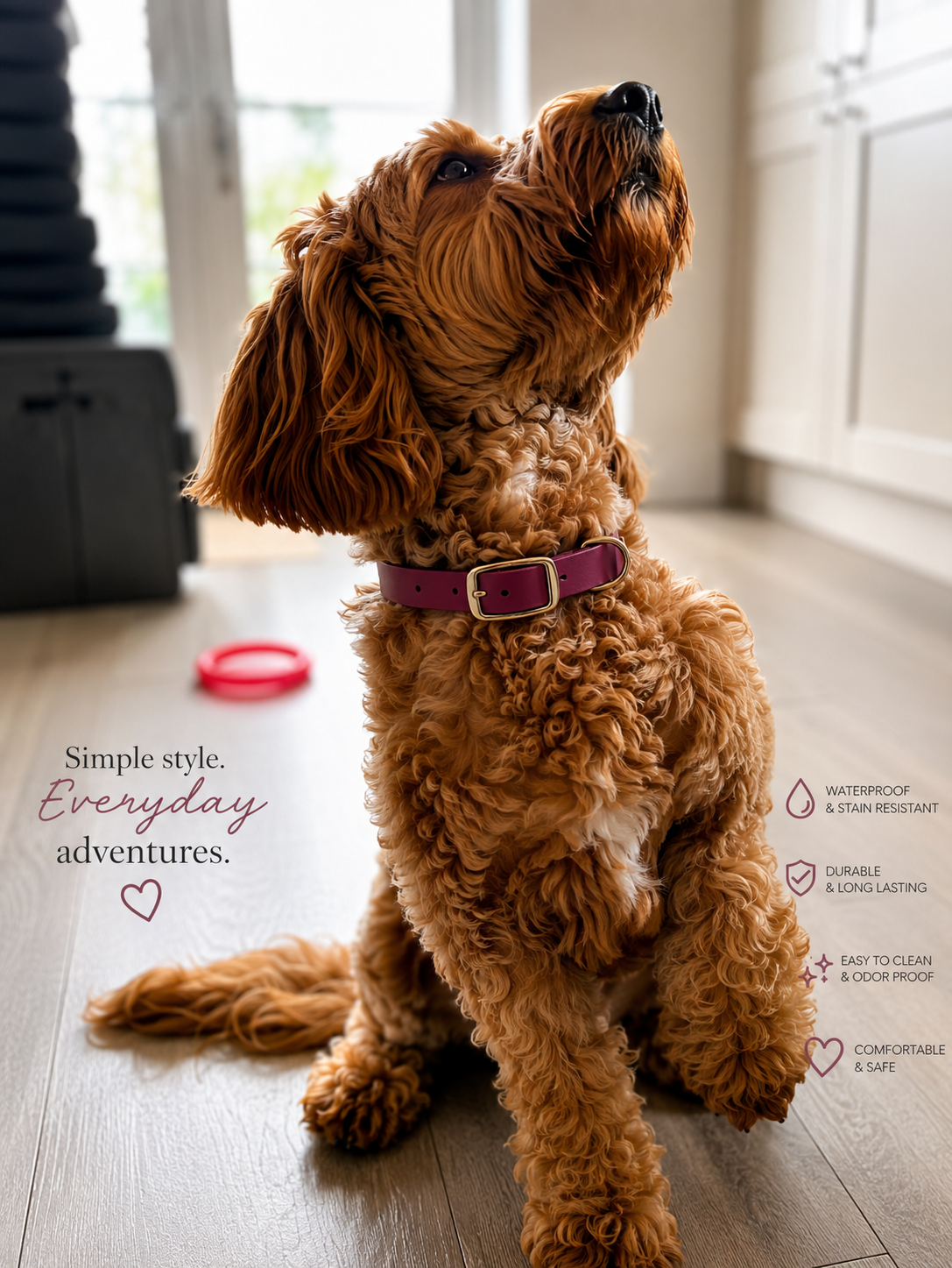 Wein Wasserdichtes Biothane Hundehalsband mit Schnalle