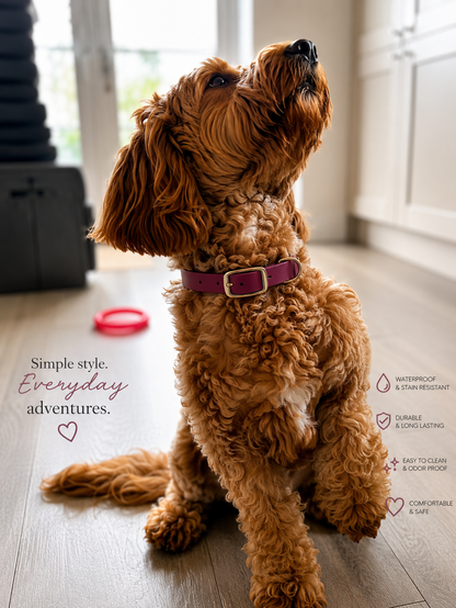 Wein Wasserdichtes Biothane Hundehalsband mit Schnalle