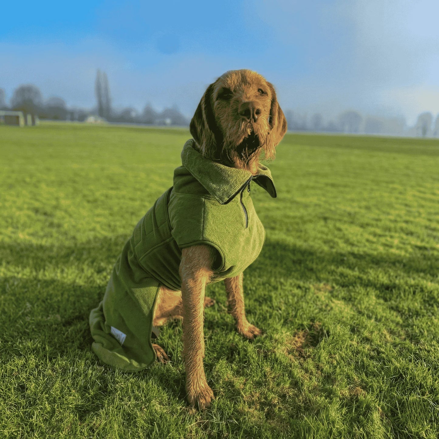Green Superior Perfectly Practical Dog Drying Coat - Collared Creatures LTD