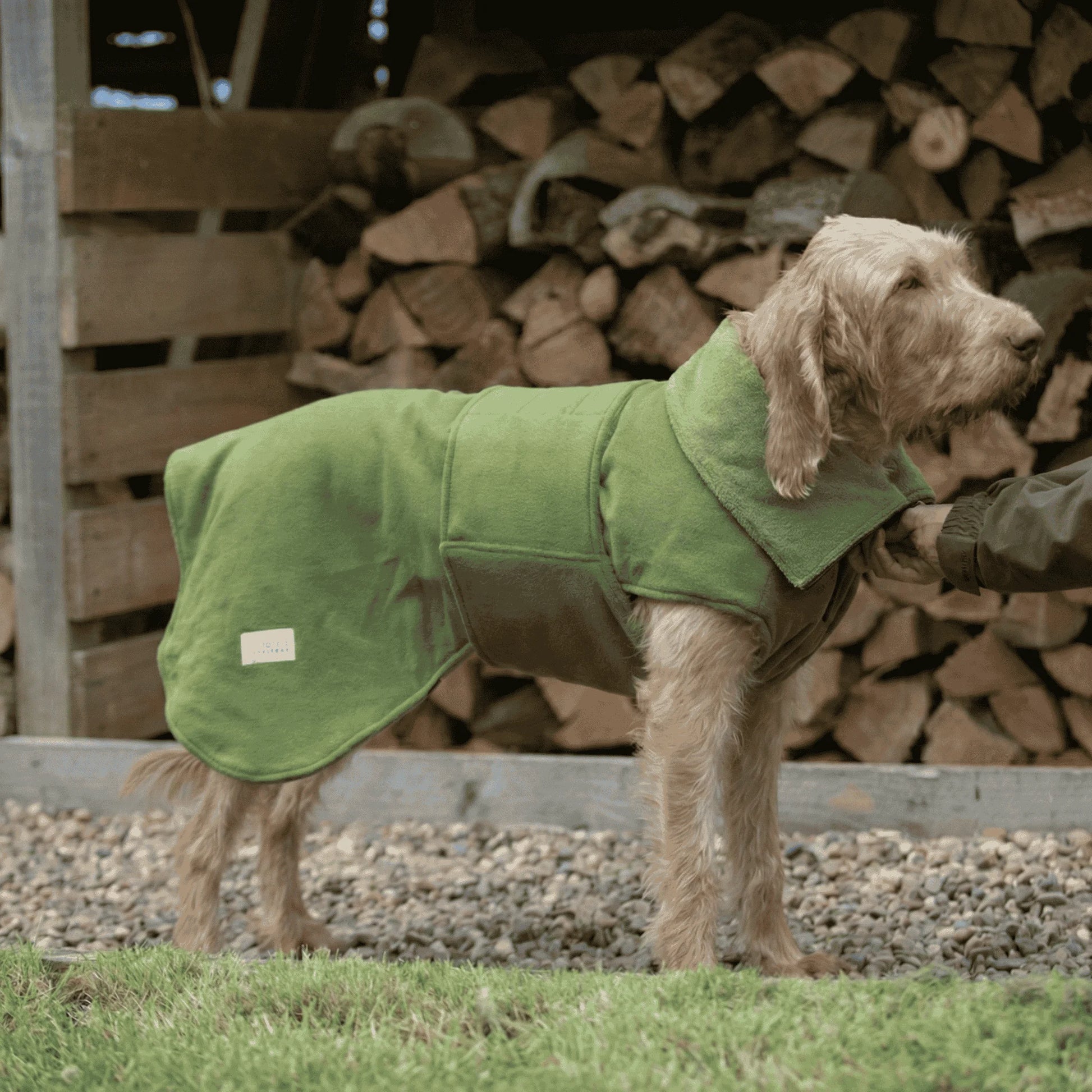 Dog wearing a green dog drying coat standing in front of stacked wood