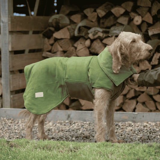 Green Perfectly Practical Dog Drying Coat-30% OFF