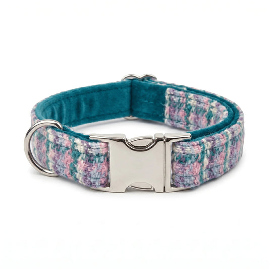 Collared Creatures Dog collar with a plaid pattern and metal clasp on a white background