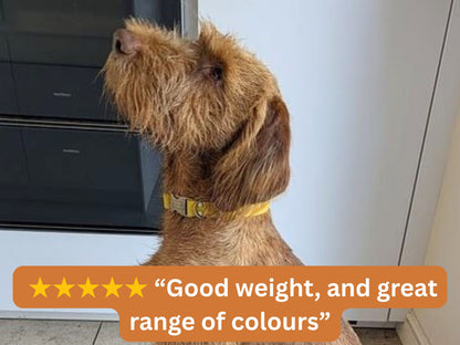 Dog wearing a yellow Biothane collar with a 5-star review saying “Good weight, and great range of colours.”