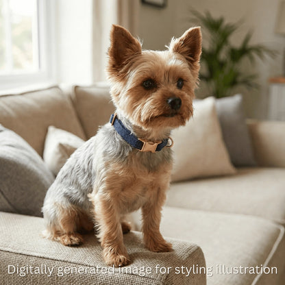 Midnight Blue Herringbone Luxury Harris Tweed Dog Collar