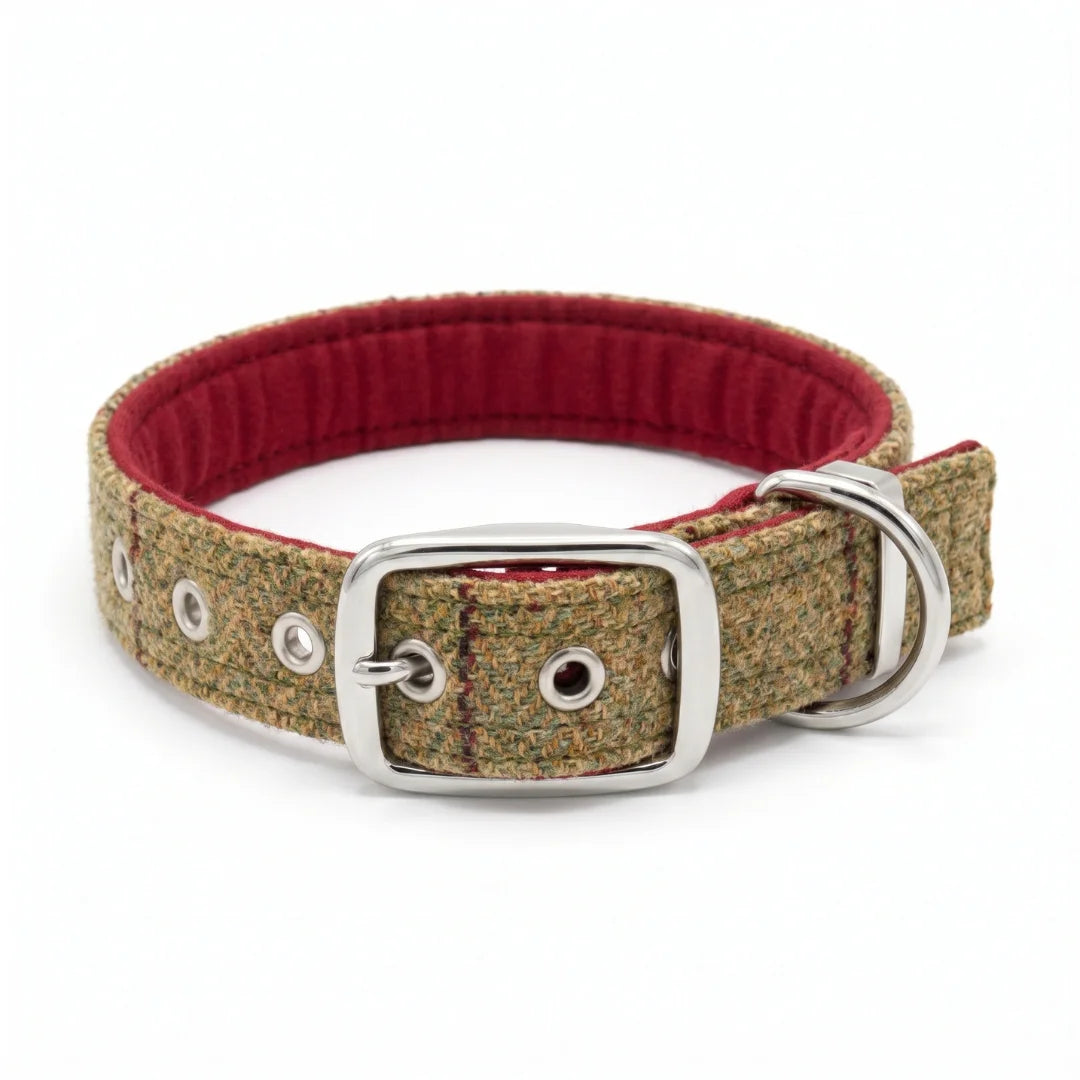 yorkshire tweed buckle dog collar on white background